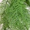 Ashland; 8 Pack: 20" Green Asparagus Fern Bush by Ashland®; Category:Bushes; Image:3